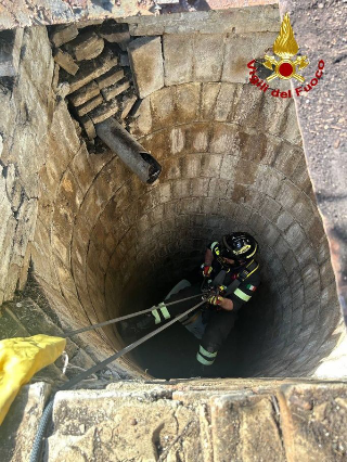 Gatto cade in un pozzo profondo 7 metri: salvato dai Vigili del Fuoco a Jesi